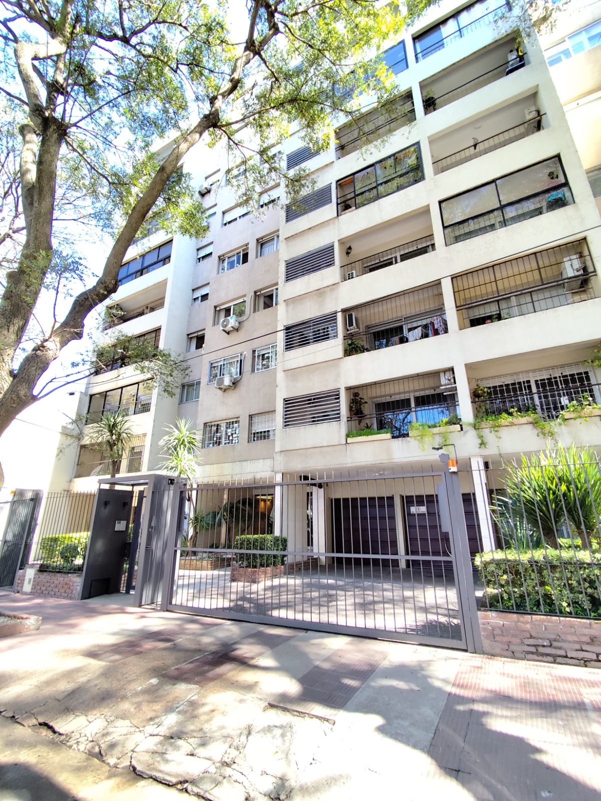 WhatsApp Image 2025-12-13 at 22.24.04 (1)